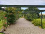 IMG-20250803-WA0009