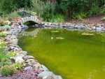 IMG-20250803-WA0010