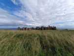 IMG-20250803-WA0010