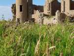 IMG-20250803-WA0029